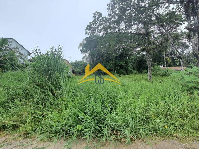 #183 - Terreno para Venda em Itapoá - SC - 3